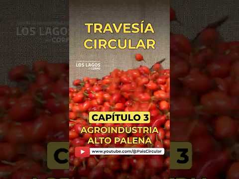 Travesía Circular - Short 2 Capítulo 3 - Agroindustria Alto Palena