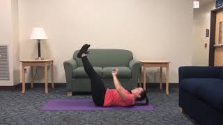 LionPulse: Dorm room core circuit