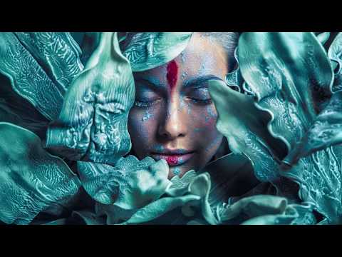 Kreative Beauty Fotografie im Studio