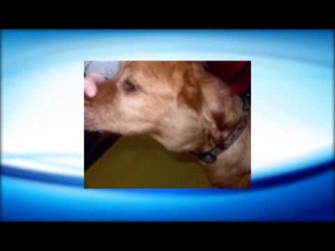 Neoplasias Benignas y Malignas