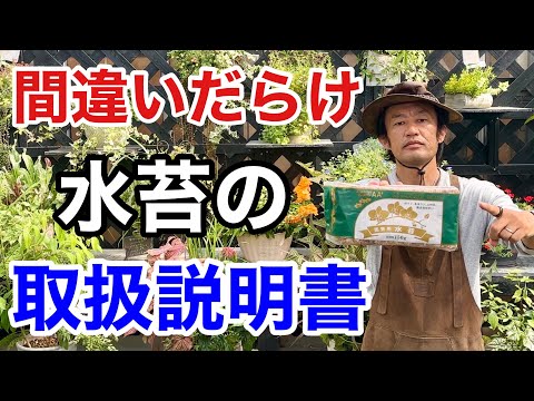 ミズゴケの育て方 水耕栽培 壁緑化 屋根