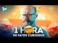 1 HORA DE CURIOSIDADES QUE VOCÊ NÃO SABIA! 🧠🤯