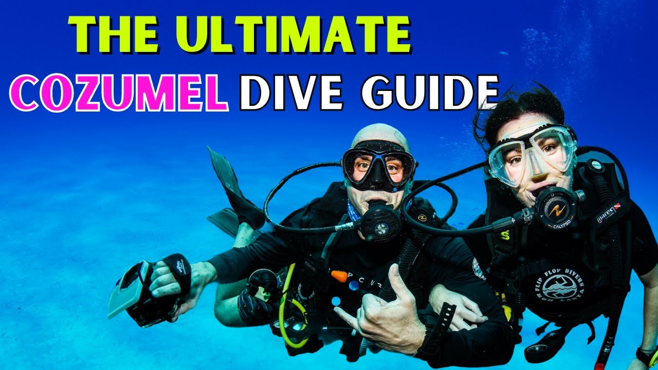 Where to Scuba Dive in Cozumel (ULTIMATE DIVE GUIDE)
