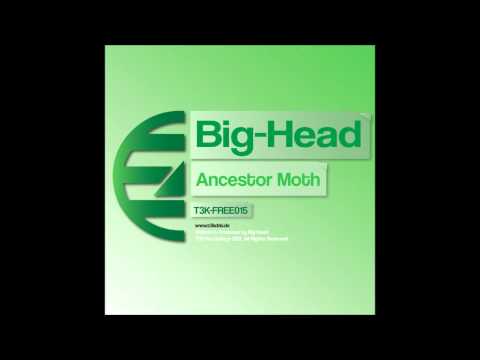 T3K-FREE015: Big Head - "Ancestor Moth" FREE 320 MP3 DOWNLOAD! LINK INSIDE