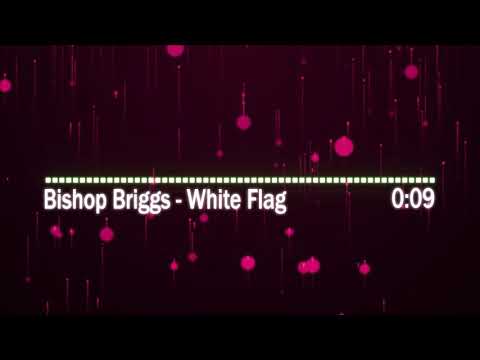 (From 6 Underground Soundtrack)Bishop Briggs - White Flag