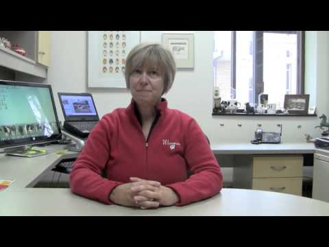 Managing Mastitis: Environmental Streptococci