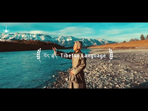 2020 New Tibetan Song Bhodkae (Tibetan Language) By Pemsi & Tenzin Seungyi