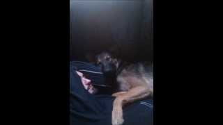 Murder by Death - Piece by Piece - Lyrics