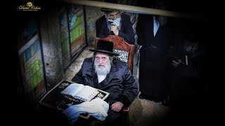 מרן  האדמו''ר מויז'ניץ באתרא קדישא מירון - Viznitz rebbe