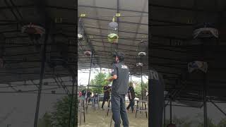 Download lagu gantangan gelatik batu mp3