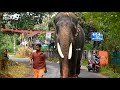 Chulliparambil Vishnu Shankar