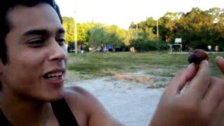 QUE RICO MI SURI  "QUISTOCOCHA IQUITOS PERÚ" (MÚSICA: SELVA NEGRA - LA ZORRA SALVAJE)