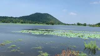 ជិះកាត់ឃើញទេសភាពស្រស់ស្អាតថតអោយបងៗមើល#Nice view #beautiful