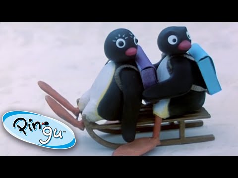 Pingu on the Sledge! @Pingu – Official Channel Cartoons For Kids - Kids (0-4), Kingdom Kids Zone - Pingu - Official Channel
