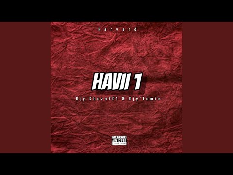 Haviii 1