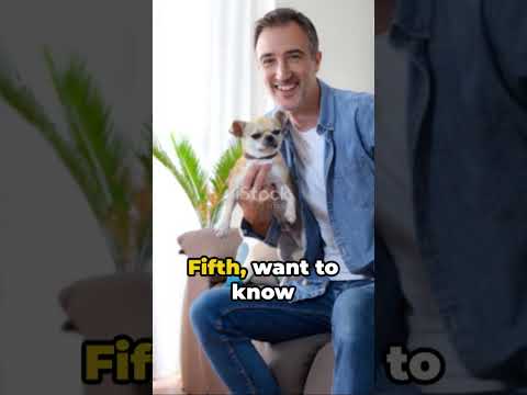 8 WITTY ONE LINERS AROUND THE WORLD JOKES: part 2, FUNNY PETS. FOR SHORTS