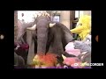 Sesame Street 4022 Monster Time