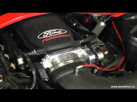 Coyote 5.0 Aluminator XS on the Dyno
