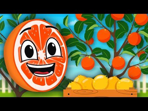 , title : 'Learn ALL About Citrus Trees! | Fruit Songs For Kids | KLT'