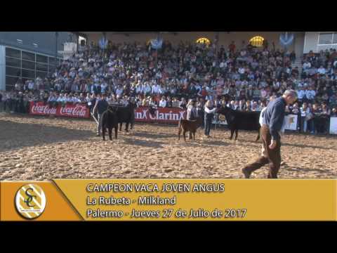 27-07-17 Jura Angus Vaca Joven - Palermo