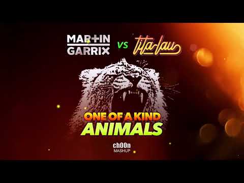 Martin Garrix vs Tita Lau - One Of A Kind Animals (ch00n Mashup)