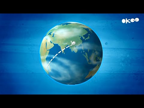 Grizzy and the lemmings season 3 y 4 (atualisado el episodio final)