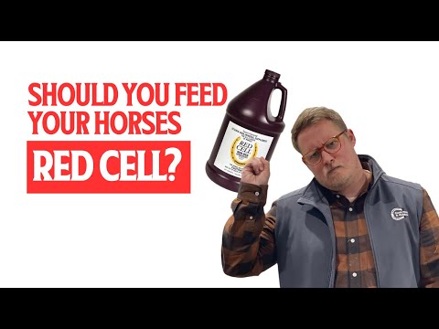Why You Should or Shouldn't Feed Your Horse Red Cell
