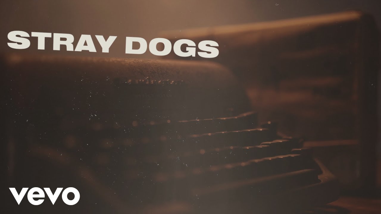 Stray Dogs by Justin Moore from USA Popnable