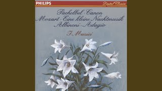 Albinoni: Adagio for Strings and Organ in G minor