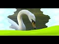 Animal Time Season 2 Trailer