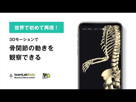 3D motion anatomy teamLabBody Video
