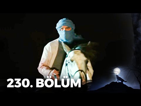 Kurtlar Vadisi Pusu - 230. Bölüm FULL HD
