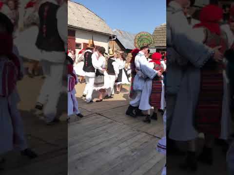 Roate la Suciu de jos