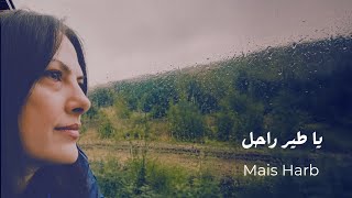 كلمات اغنية يا طير راحل ميس حرب