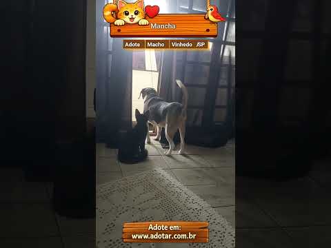 Vídeo de Mancha