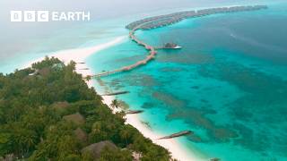Amazing Hotels: The Italian Alps, Norway & The Maldives | The Travel Edit