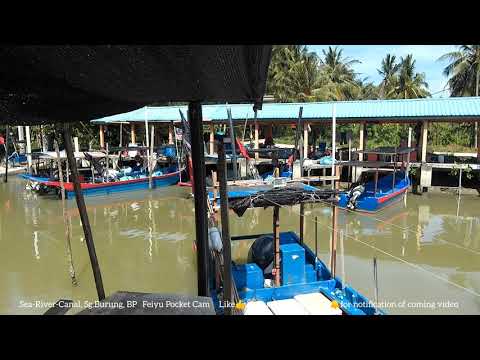 Canal-River-Sea, Balik Pulau.
