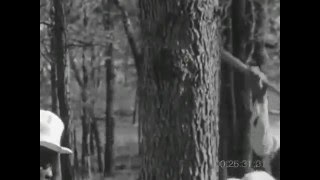 "Jody" (Prison work song)