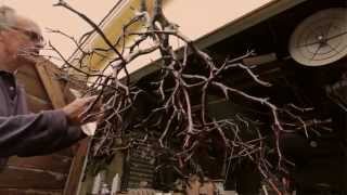 Make Something Beautiful