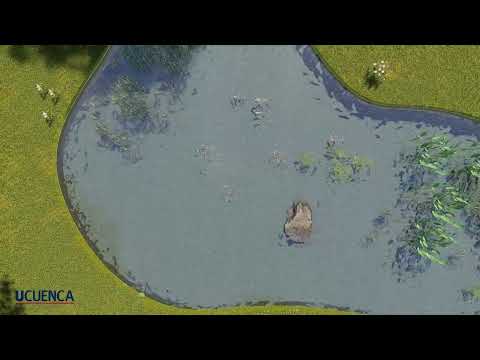 PARQUE ANTONIO CHÁVEZ, PALENQUE, LOS RIOS