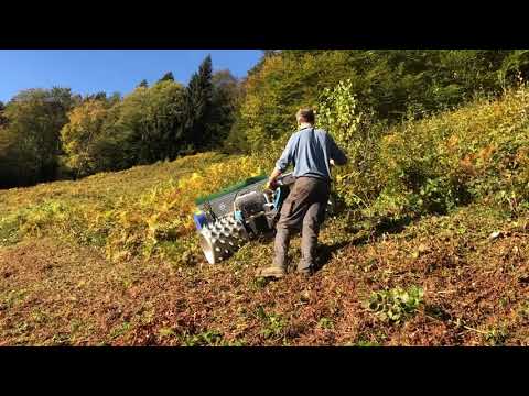 Brielmaier mit Mulcher