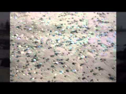 "The Sand and The Sea"