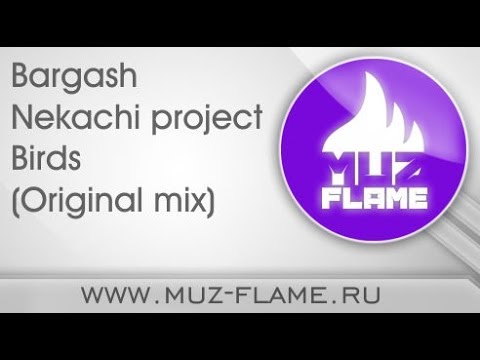 Bargash & Nekachi project - Birds (Original mix) Музыкальные Новинки Big Room House 2014
