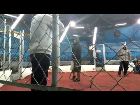 Rimas mc vs ✔Marchelo OCTAVOS SUPREMACIA MC FINAL REGIONAL