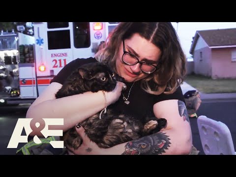 Live Rescue: Top 6 Animal Rescues | A&E