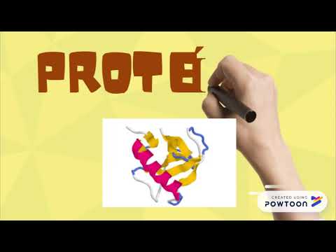 Acumulaciónes intracelulares