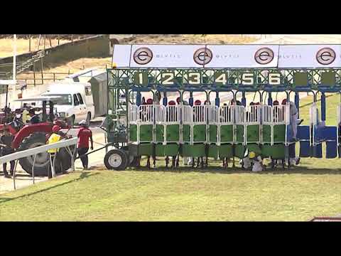 RM27 R6 | Seattle Kid | I.Chisty