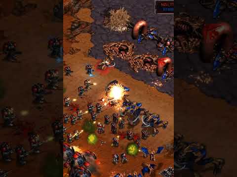 How to Handle Ultralisks! | Effort and sSak #gaming #starcraft #broodwar #falconpaladin
