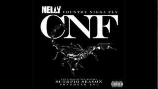 Nelly - Country Nigga Fly