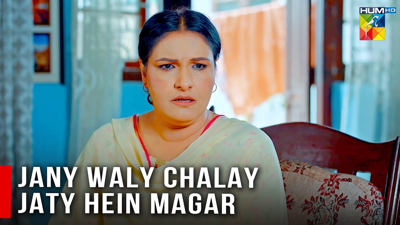 Jany Walay Chalay Jaty Hein Magar | HUM TV